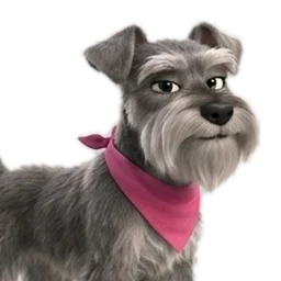 Franca, uno de los perros de la casa